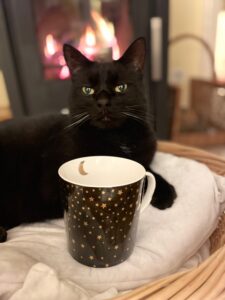 Katze vor dem Kamin und eine Tasse Tee
